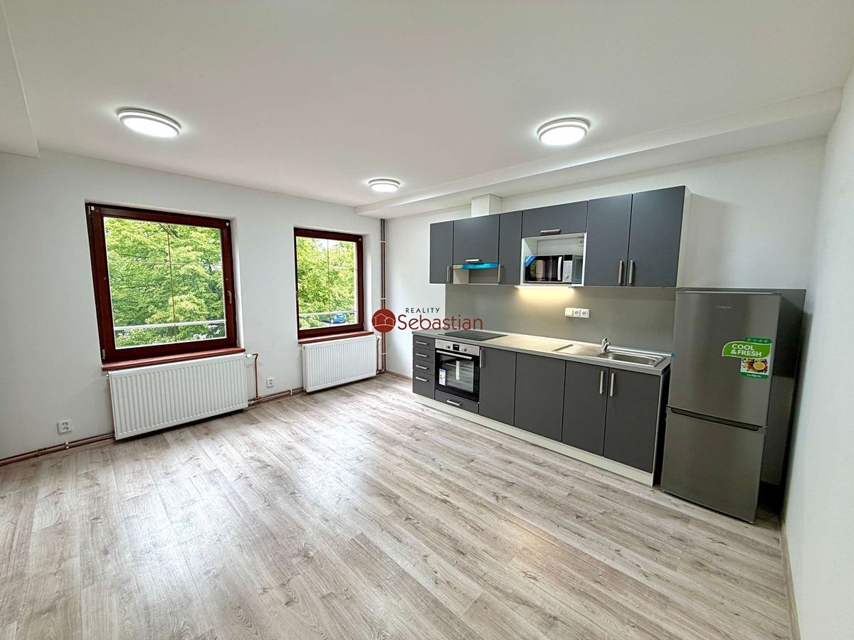 Pronájem bytu 1+kk 60 m²